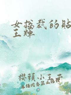 女总裁的贴身兵王辉