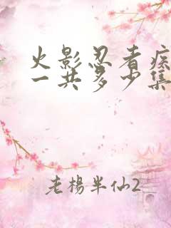 火影忍者疾风传一共多少集