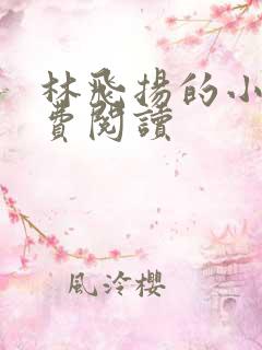 林飞扬的小说免费阅读