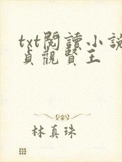 txt阅读小说贞观贤王