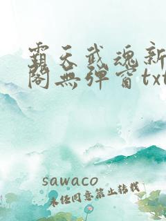 霸天武魂新笔趣阁无弹窗txt