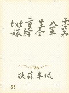 txt重生八零嫁给全军第一硬汉