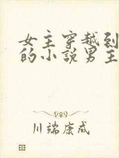 女主穿越到古代的小说男主是王爷