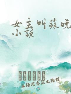 女主叫苏晚卿的小说