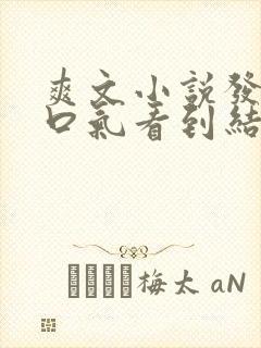 爽文小说发疯一口气看到结局