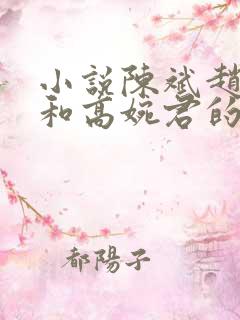 小说陈斌赵心媚和高婉君的小说免费阅读