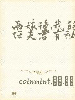 两嫁后,我的新任夫君有秘密林月鸣全文小