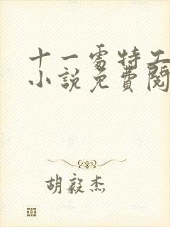 十一处特工皇妃小说免费阅读