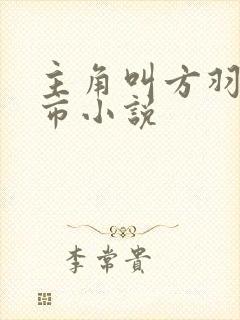 主角叫方羽的都市小说