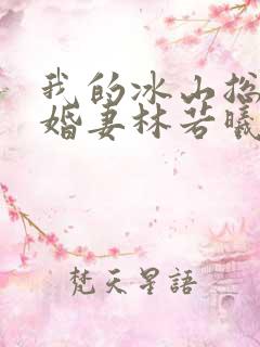 我的冰山总裁未婚妻林若曦