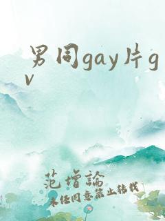 男同gay片gv