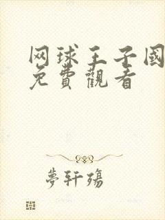 网球王子国语版免费观看