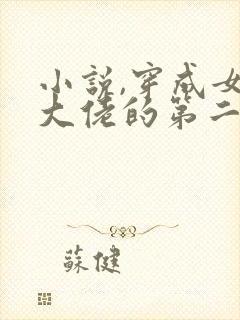 小说,穿成女装大佬的第二人格