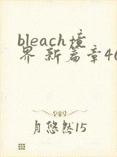 bleach境界 新篇章46集免费观看