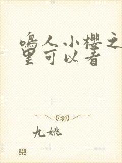 鸣人小樱之夜哪里可以看