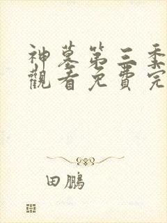 神墓第三季在线观看免费完整版高清动漫