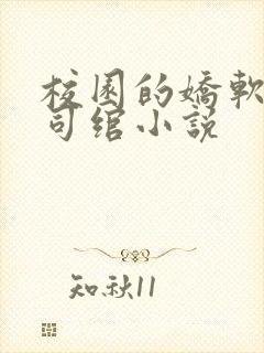 校园的娇软美人司绾小说