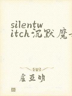 silentwitch沉默魔女的秘密小说
