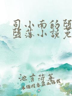 司小南的堕落与堕落小说免费阅读