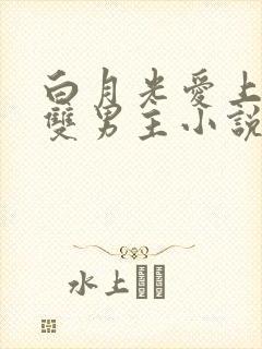 白月光爱上替身双男主小说