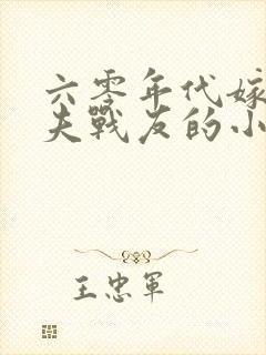 六零年代嫁给丈夫战友的小说