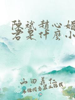 陈斌赵心媚高婉君是什么小说