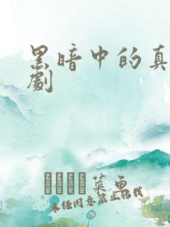 黑暗中的真相短剧