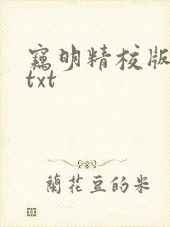 窃明精校版全本txt
