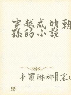 穿越成明朝皇太孙的小说