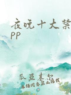 夜晚十大禁用app