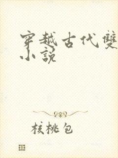 穿越古代双女主小说