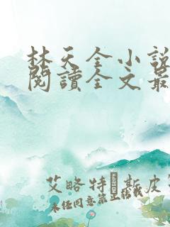 林天全小说免费阅读全文最新章节