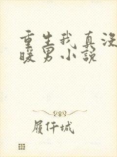 重生我真没想当暖男小说