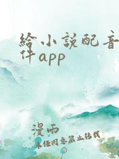 给小说配音的软件app