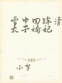 雪中回眸清穿之太子娇妃
