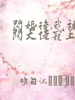 闪婚后,我被财阀大佬宠上天