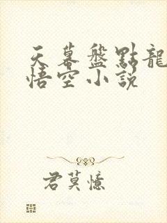 天幕盘点龙珠孙悟空小说