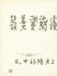 楚暮渊沈清吟小说免费阅读最新章节