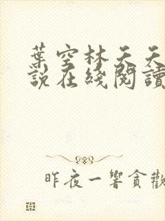 叶空林夭夭的小说在线阅读免费