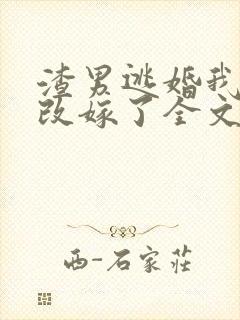 渣男逃婚我当场改嫁了全文免费阅读