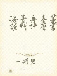 洛青舟秦蒹葭小说叫什么书名