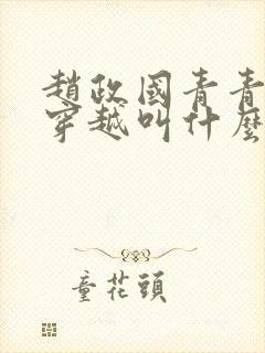 赵政国青青小说穿越叫什么名字