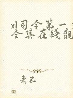 xl司令第一季全集在线观看免费播放