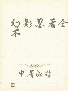 幻影忍者全套积木