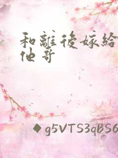 和离后嫁给前夫他哥