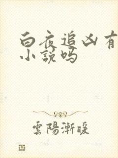 白夜追凶有原著小说吗