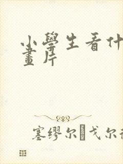 小学生看什么动画片