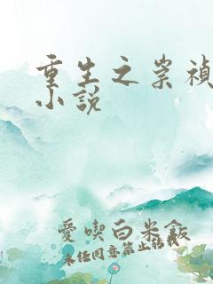 重生之崇祯大帝小说