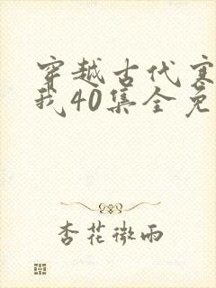 穿越古代寒风送我40集全免费
