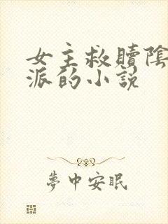 女主救赎阴暗反派的小说